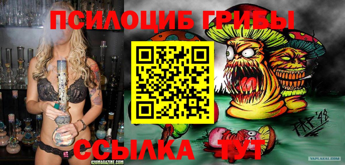 Псилоцибиновые грибы Psilocybe Карабулак